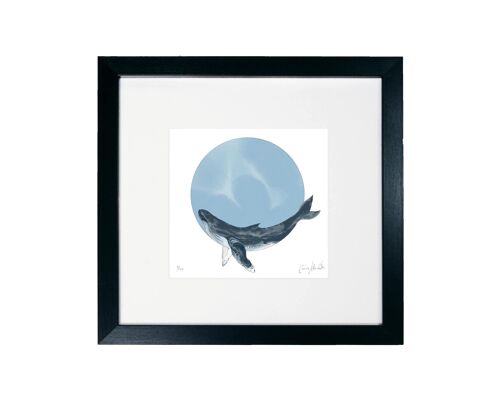 Whale  - Framed Limited Edition Print