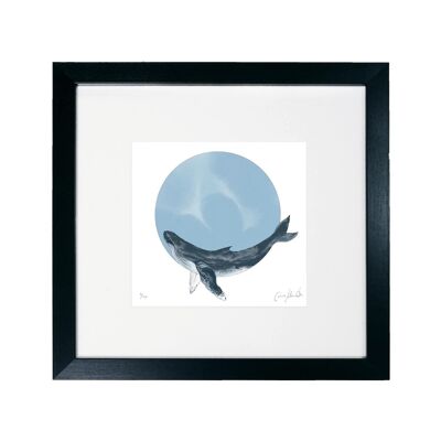 Whale  - Framed Limited Edition Print