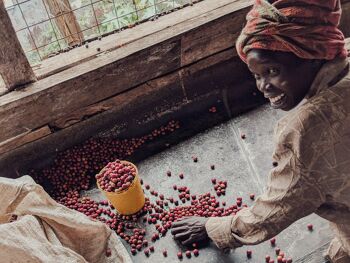 :Les femmes de Kericho AB Espresso 5