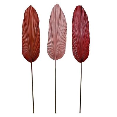 PALM LEAF BRANCH 22X2X148 3 ASSORTMENTS. JA196937