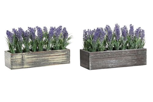 Planta pe madera 32x14x19,5 lavanda 2 surt. JA199476
