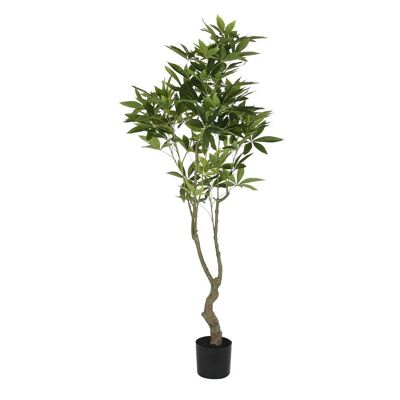 ALBERO POLIESTERE PP 80X80X180 PACHIRA ACQUATICA JA200529