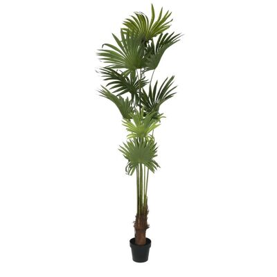 POLYESTER PP PLANT 90X90X210 GREEN PALM TREE JA200531