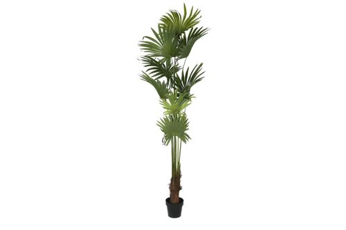 Planta Poliester Pp 90X90X210 Palmera Verde JA200531