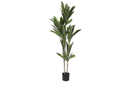 Planta Poliester Pp 90X90X200 Dracena Verde JA200532