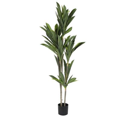 Planta Poliester Pp 90X90X200 Dracena Verde JA200532