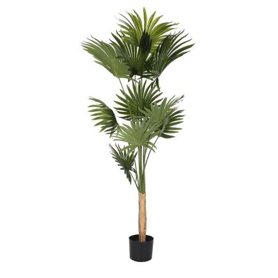 PLANT POLYESTER PP 80X80X180 GREEN PALM TREE JA200539