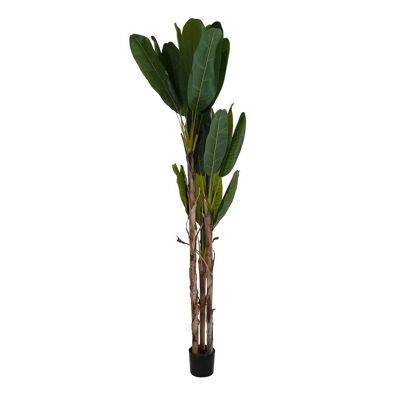 PLANT POLYESTER PP 90X90X250 BANANA PALM TREE JA200546