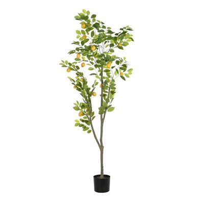 Arbol Poliester Pp 90X90X180 Limonero Verde JA200553