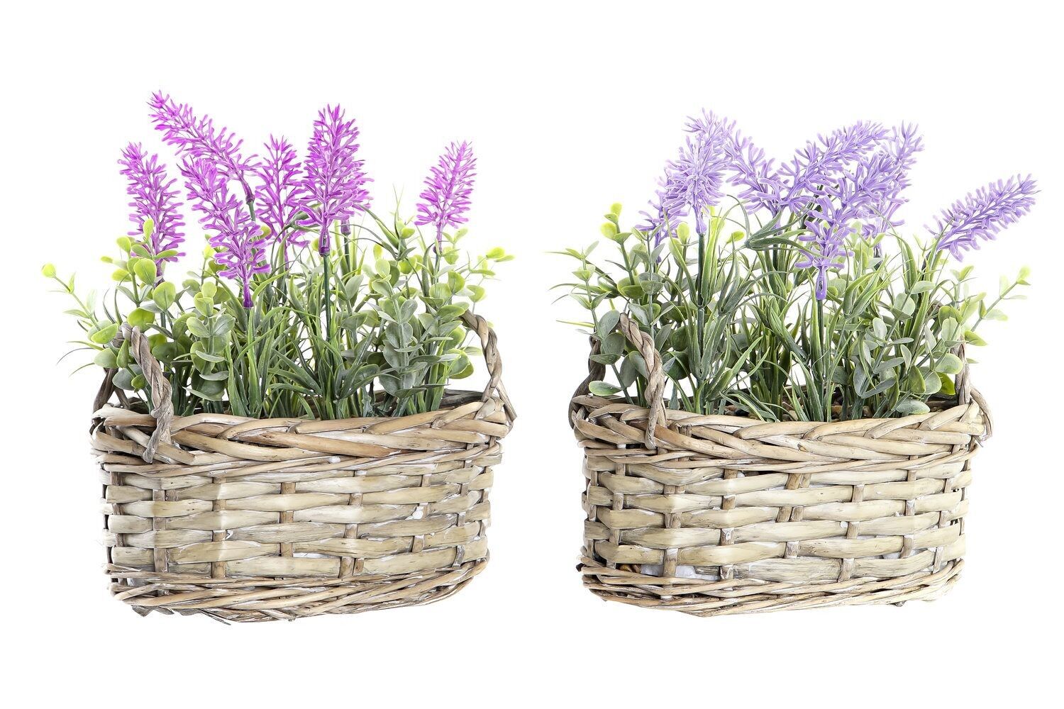 PIANTA VIMINI PE 19X12X22 LAVANDA 2 ASSORTITI. JA200650