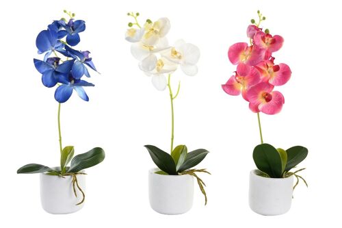 Planta Pe Cemento 10X10X50 Orquidea 3 Surt. JA200698