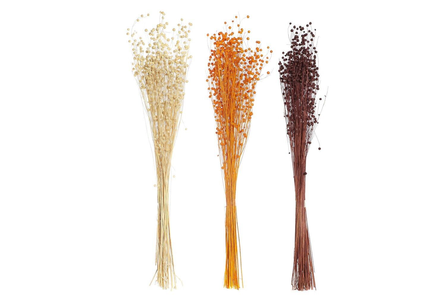 BOUQUET DI FIORI SECCHI 10X10X70 60 GR LINO 3 ASSORTIMENTI. JA199464