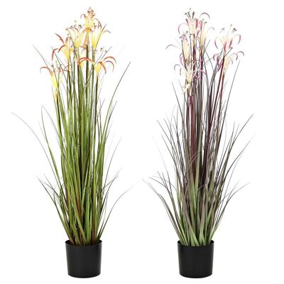 PLANTE PVC METAL 25X25X88 SPIDER LILY 2 ASSORTIS. JA201443