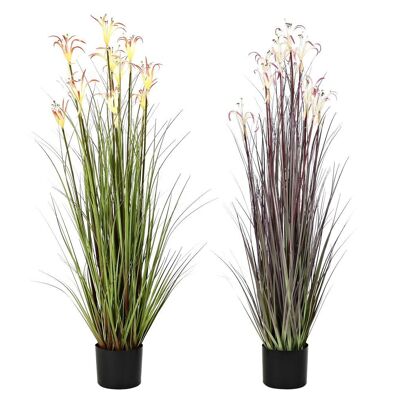 METAL PVC PLANT 35X35X114 SPIDER LILY 2 ASSORTED. JA201444