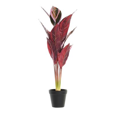 Planta Pe 25X25X67 Rosa JA193861