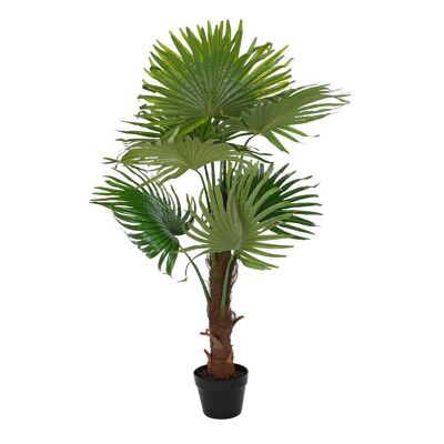 Planta Pe 50X50X120 Palmera Fan Verde JA194212