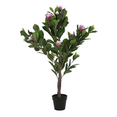 PLANTE PE 60X60X125 VERT MAGNOLIUS JA194221