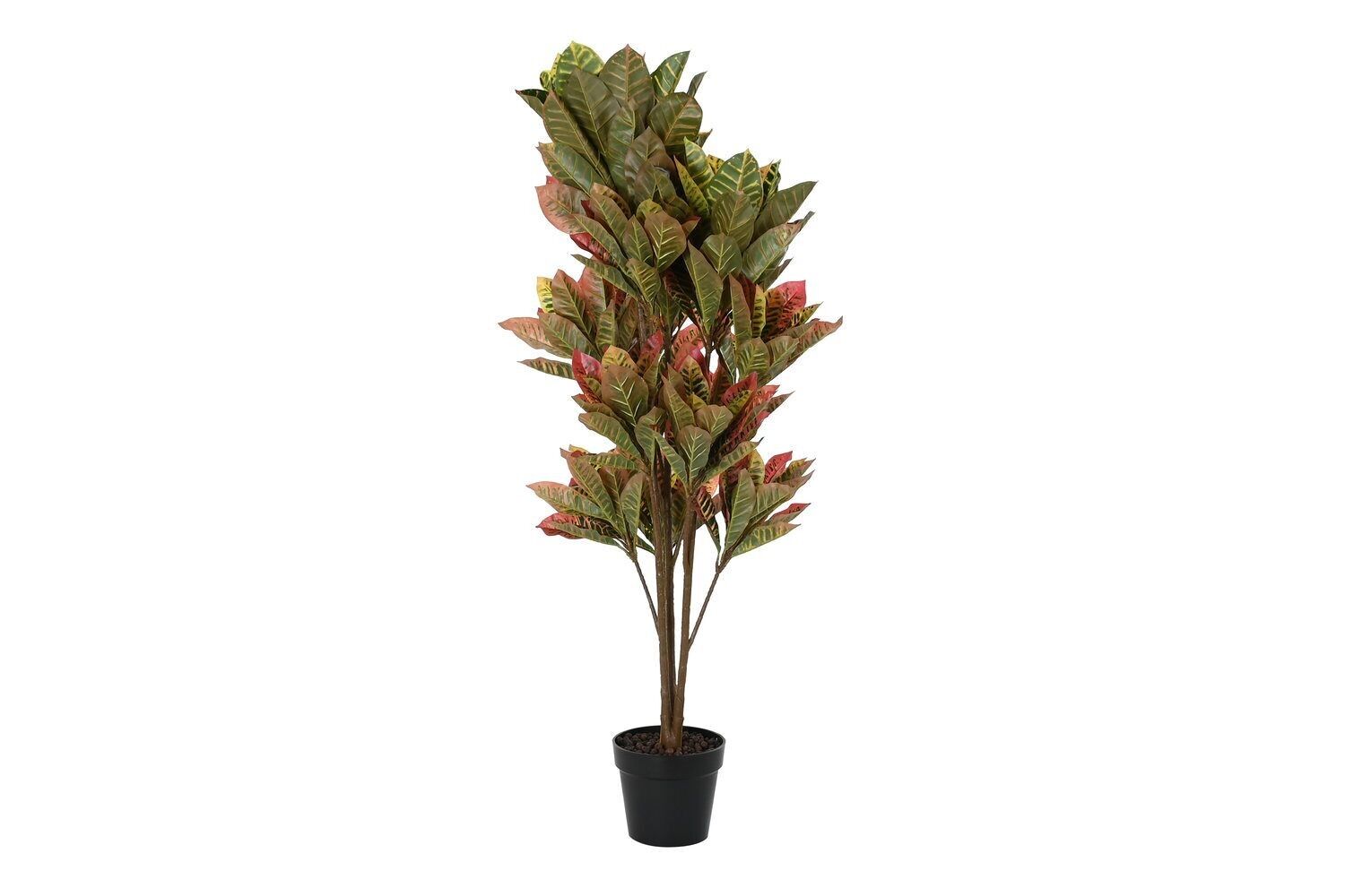 PLANT PE 50X50X140 GREEN CROTON JA194223