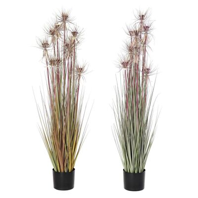 Planta pe pvc 40x40x120 2 surt. JA194243