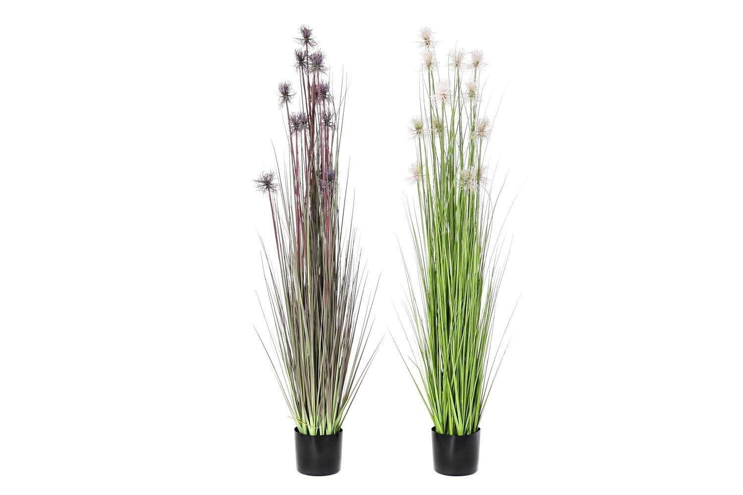 PIANTA PE PVC 40X40X150 RICCIO 2 ASSORTITI. JA194246