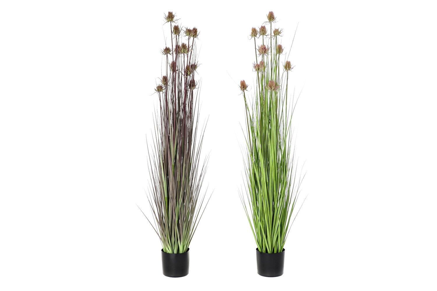 PIANTA PE PVC 40X40X150 CARDO 2 ASSORTIMENTO. JA194248