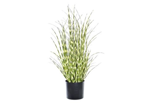 PLANTA PE PVC 20X20X60 ZEBRA VERDE JA194251