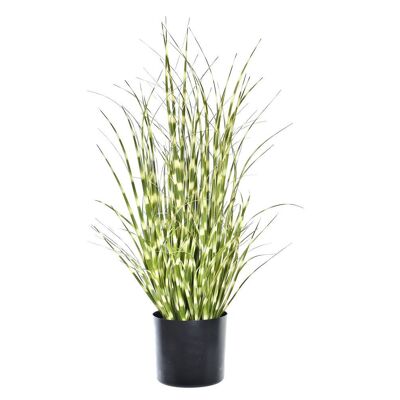 Planta Pe Pvc 20X20X60 Zebra Verde JA194251