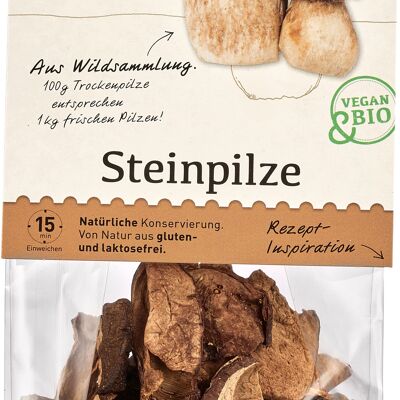 Bio Steinpilze 100g