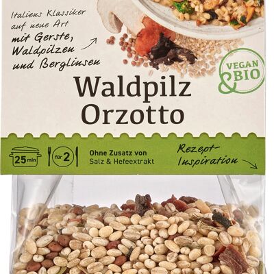 Orzotto ecológico con setas silvestres 175g