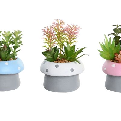 Planta cemento pe 9x9x11,5 seta 3 surt. JA205075
