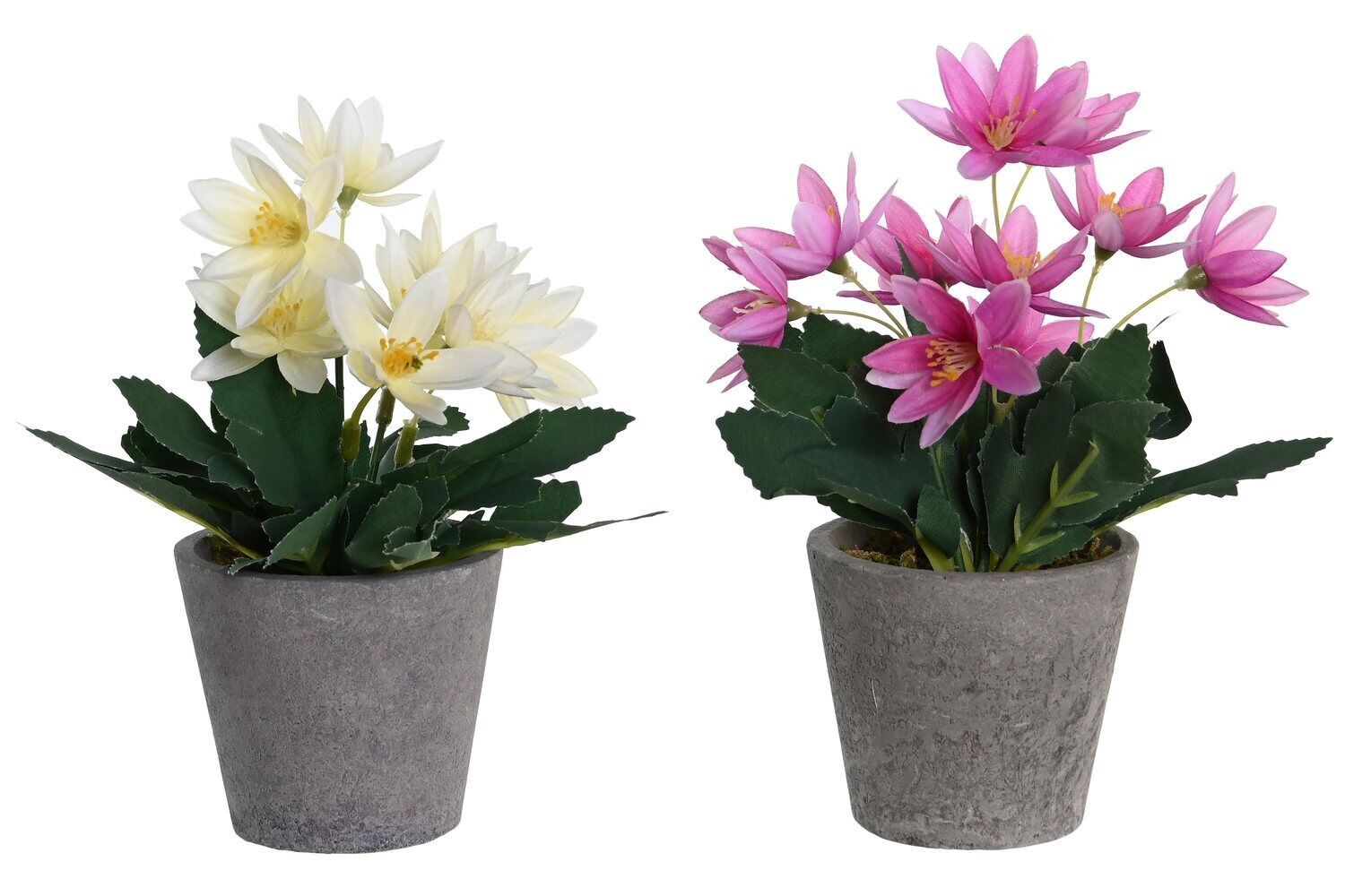 PIANTA POLIESTERE PE 8X8X18 LOTUS 2 ASSORTITI. JA205827