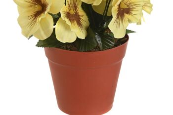 PLANTE POLYESTER PE 15X15X20 FLEUR PAPILLON 3 ASSORTIMENTS. JA205828 3