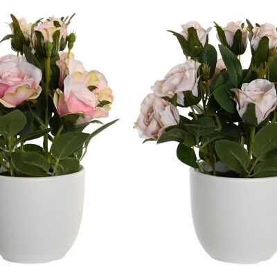 PLANT POLYESTER PE 10.5X10.5X25 ROSES 2 ASSORTED. JA205829