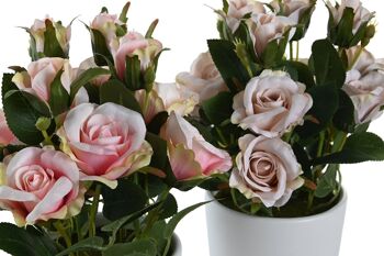 PLANTE POLYESTER PE 10.5X10.5X25 ROSES 2 ASSORTIES. JA205829 2