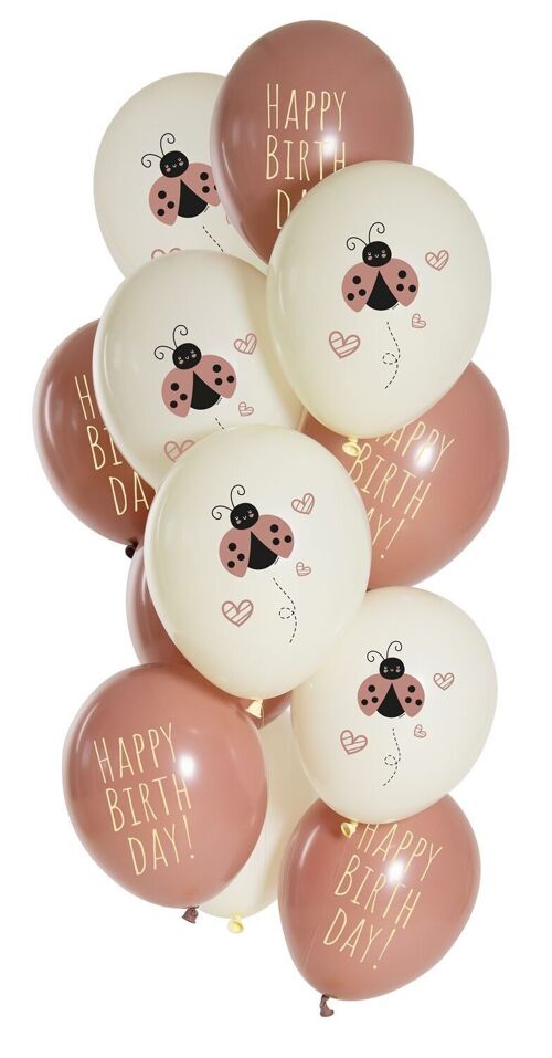Balloons Birthday Ladybug 33cm - 12 pieces