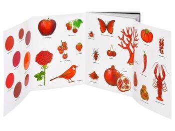 Livre Enfant - l’imagier des couleurs de la nature 2