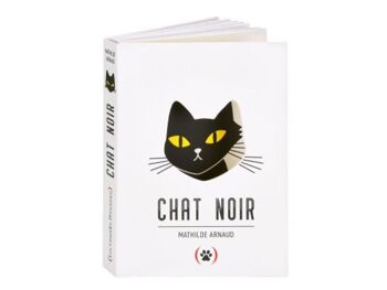 Livre Enfant - chat noir 1