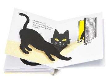Livre Enfant - chat noir 2
