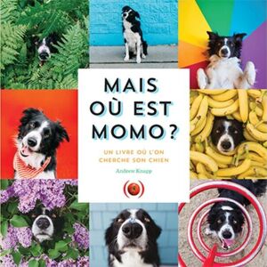 Livre Enfant - Où est momo