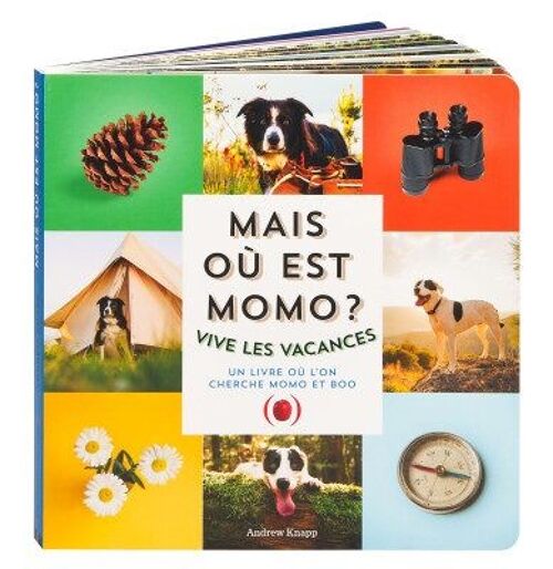 Livre Enfant - Cherche et trouve - Mais où est Momo ? Vive les vacances