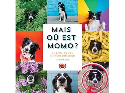 Livre Enfant - MAIS OÙ EST MOMO ?