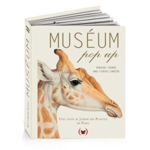 MUSÉUM POP UP - Tout public