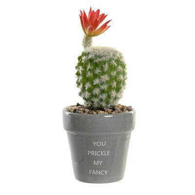 PIANTA CERAMICA PE 8X8X20 CACTUS 2 ASSORTITI. JA202579