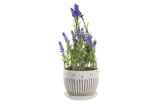 Planta Ceramica Pe 11X11X28 Lavanda 2 Surt. JA202581