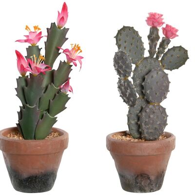 PLANTA PP EVA 15X15X29 CACTUS 2 SURT. JA204481