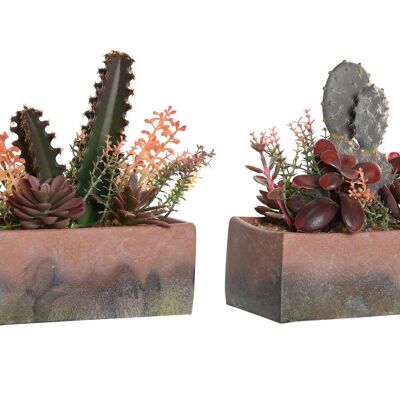 PLANTE PP EVA 19X9X22 CACTUS 2 ASSORTIS. JA204480