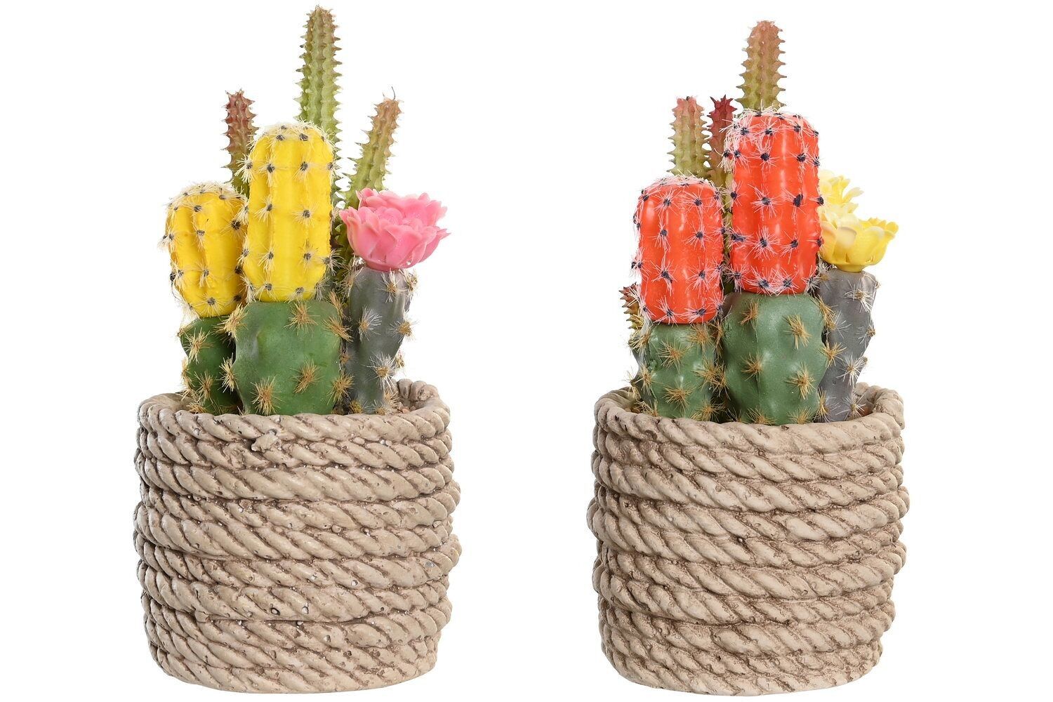 PLANT PE EVA 9,5X9X18 CACTUS 2 SORTIERT. JA204483