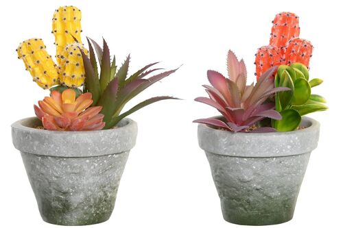 PLANTA PP EVA 12X11X19 CACTUS 2 SURT. JA204482