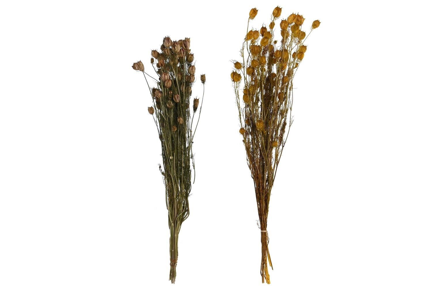 MAZZO DI FIORI SECCHI 20X20X70 2 ASSORTIMENTI. JA204532