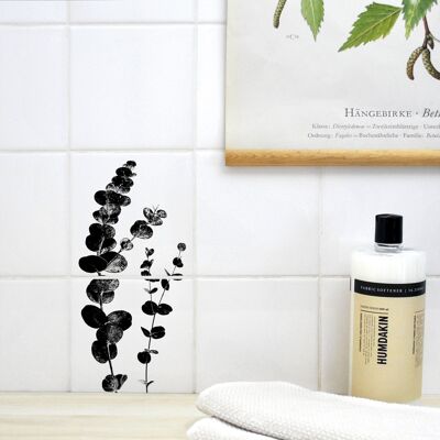 Eucalyptus - stickers for tiles